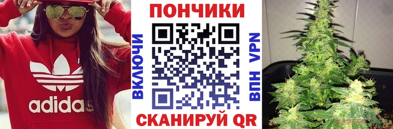 Где купить наркотики Темрюк Бошки Шишки  APVP  Гашиш  МЕФ 