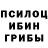 Псилоцибиновые грибы мицелий Ilia Babalashbili