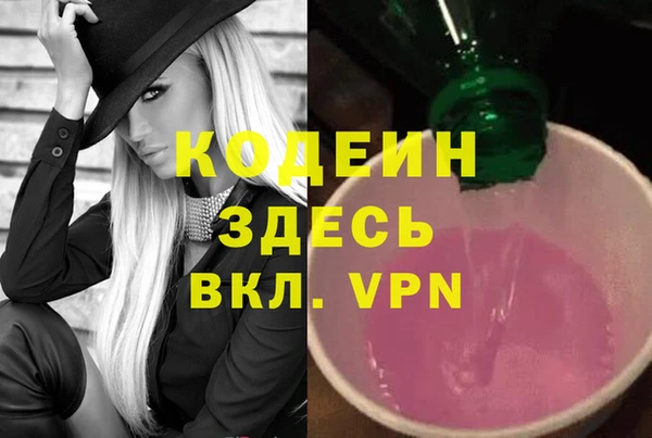 дмт Кодинск
