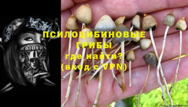 трава Козловка