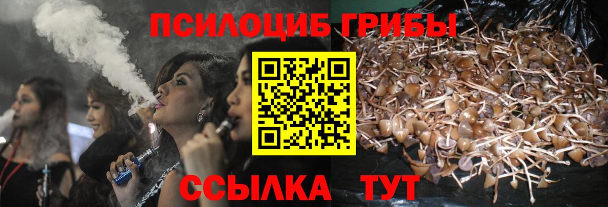 Галлюциногенные грибы прущие грибы  Вход с VPN  Темрюк 