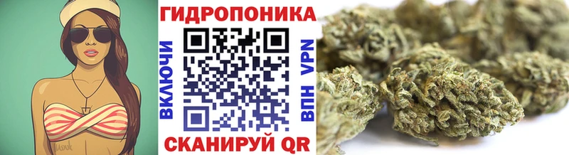 ссылка на мегу маркетплейс  Темрюк  Каннабис ГИДРОПОН 